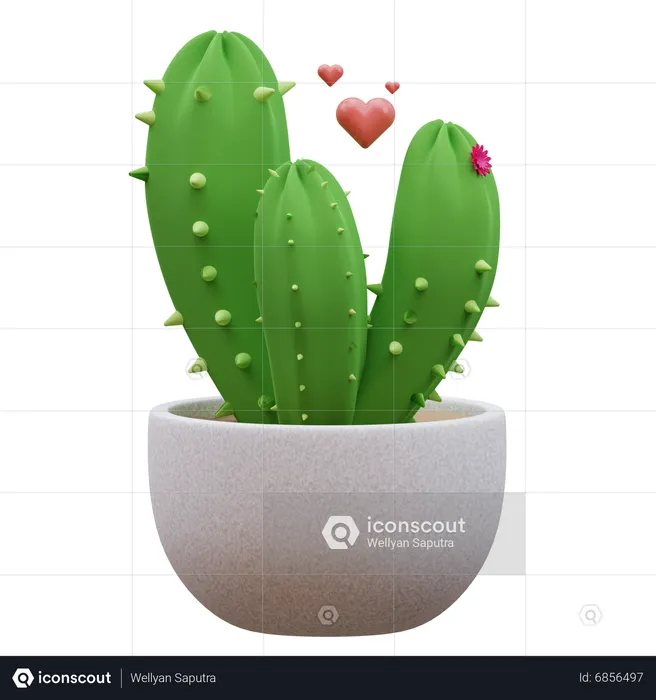 Plante de cactus  3D Icon