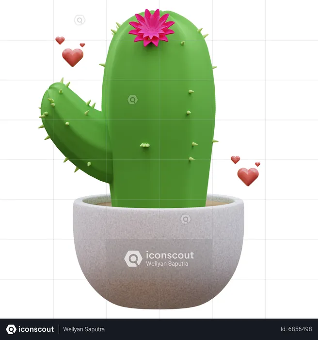 Plante de cactus  3D Icon