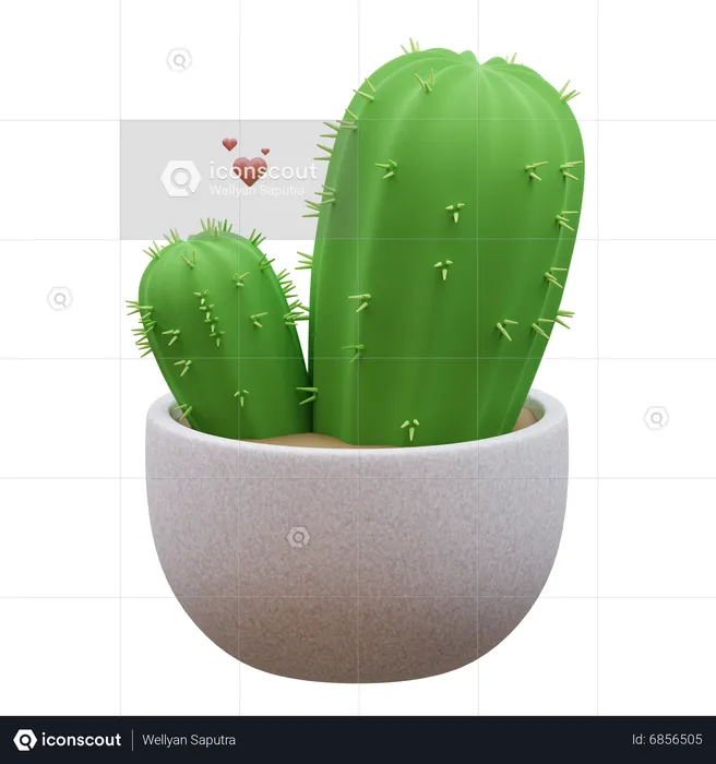 Plante de cactus  3D Icon