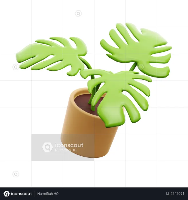 Plante décorative  3D Icon