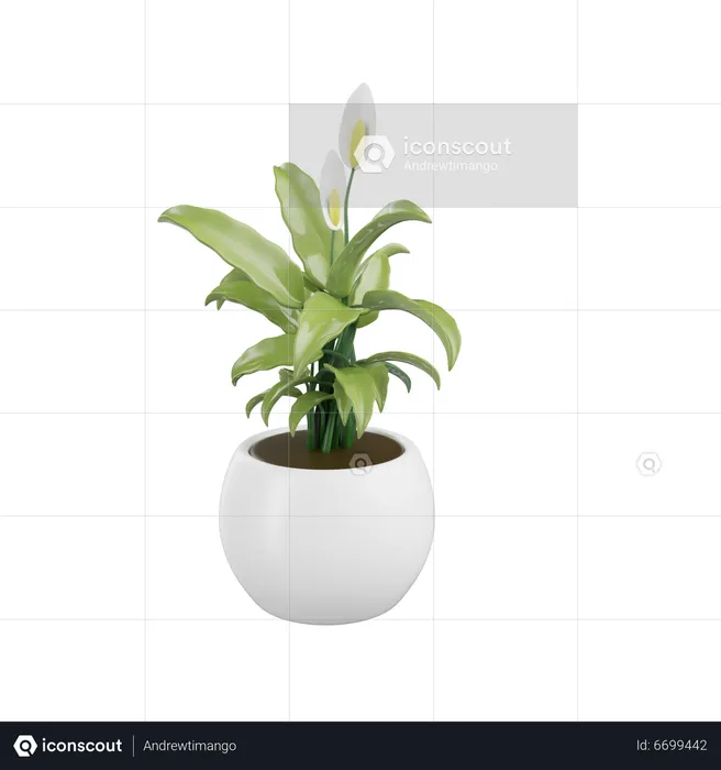 Plante d'appartement  3D Icon