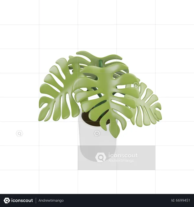 Plante d'appartement  3D Icon