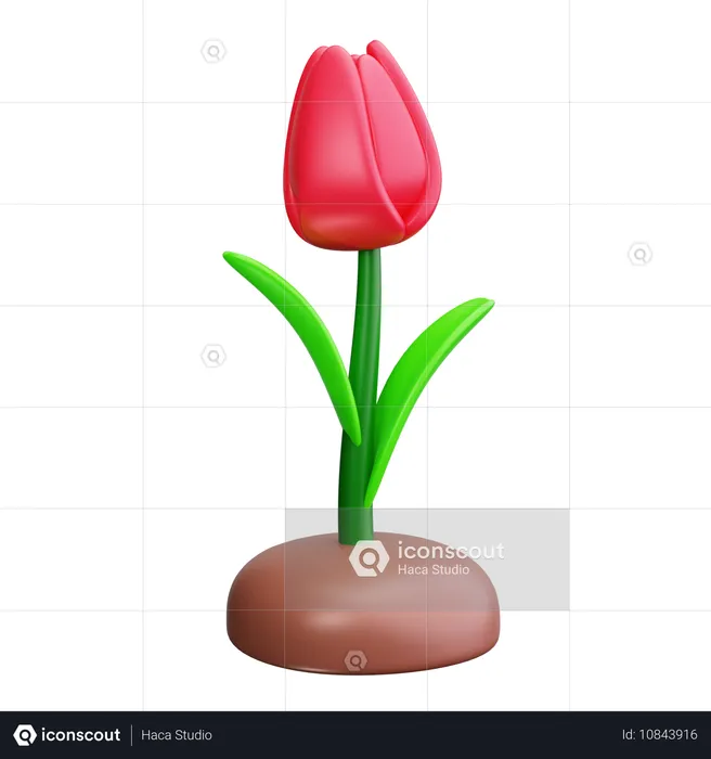 Plante en herbe  3D Icon