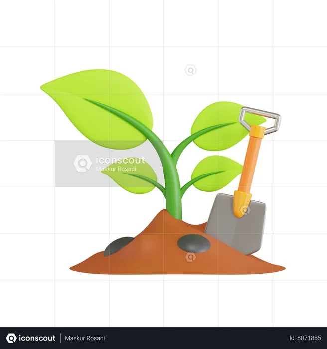 Planting  3D Icon