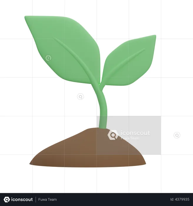 Planting  3D Illustration