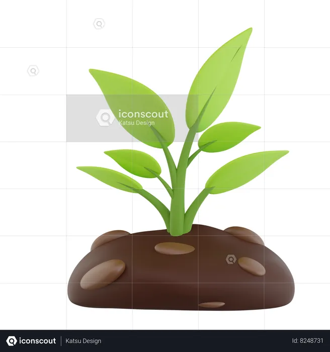 Plants  3D Icon