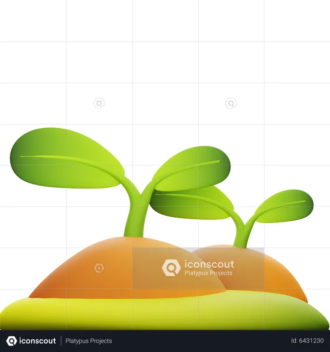 Plants  3D Icon