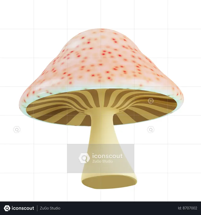 Poisonous Mushroom  3D Icon