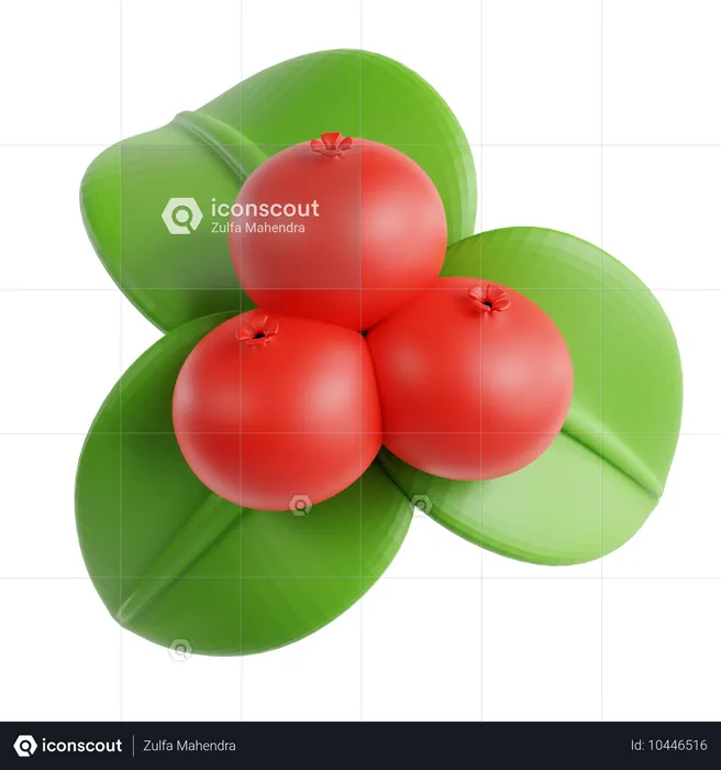 Pomegranate  3D Icon