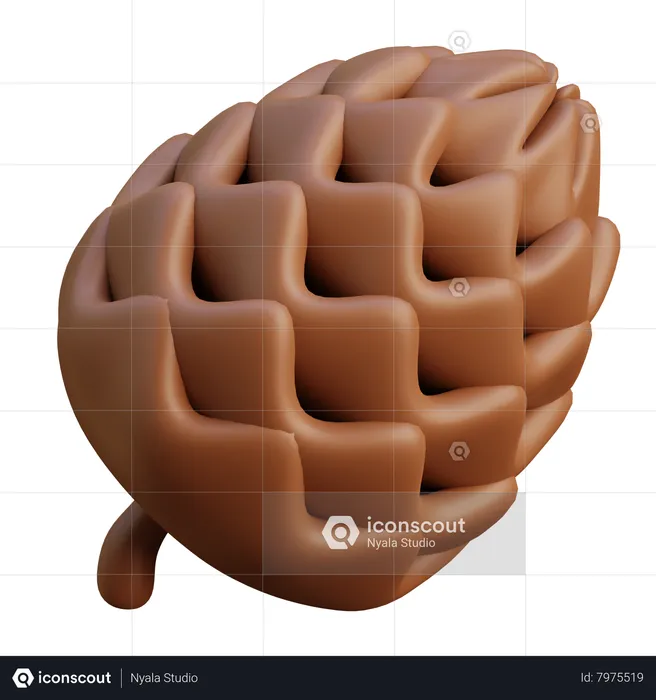 Pomme de pin  3D Icon