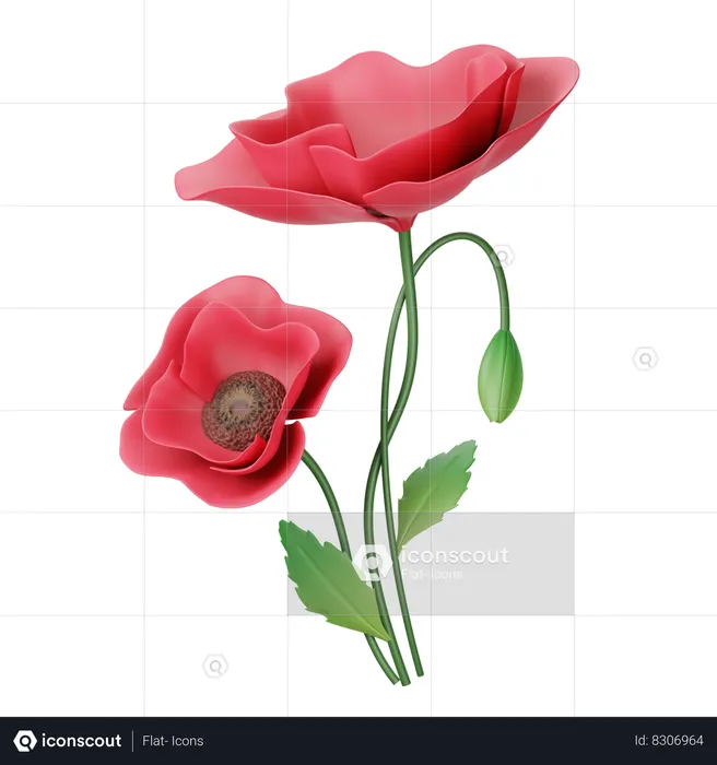 Poppy  3D Icon