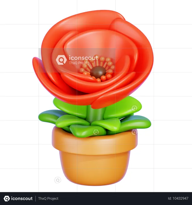 Poppy Flower  3D Icon