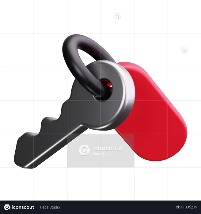 Clé de la porte  3D Icon