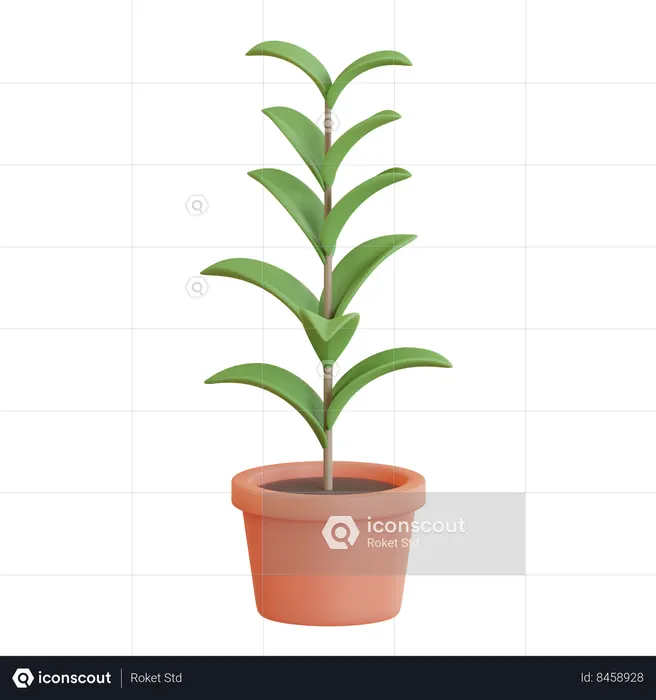 Pot de fleurs en caoutchouc  3D Icon