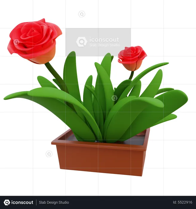 Potted Grass  3D Icon