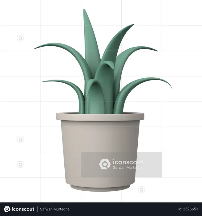 Potted Plant  3D Illustration