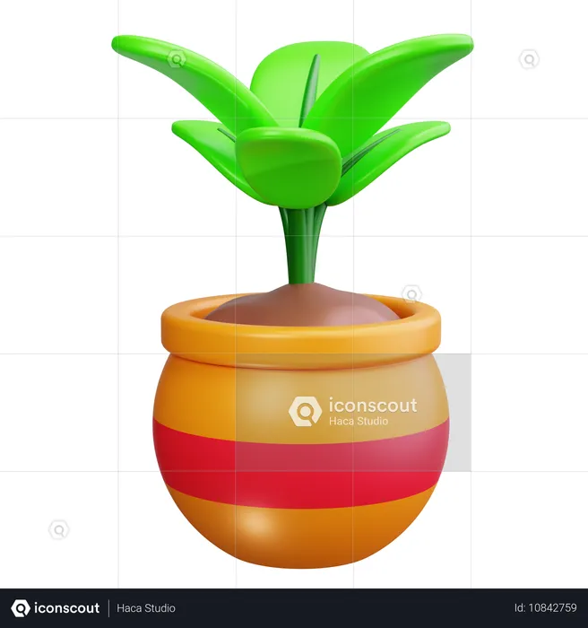 Potted Plant  3D Icon