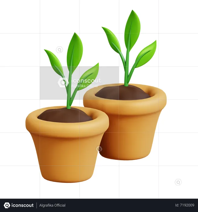Potted Plants  3D Icon