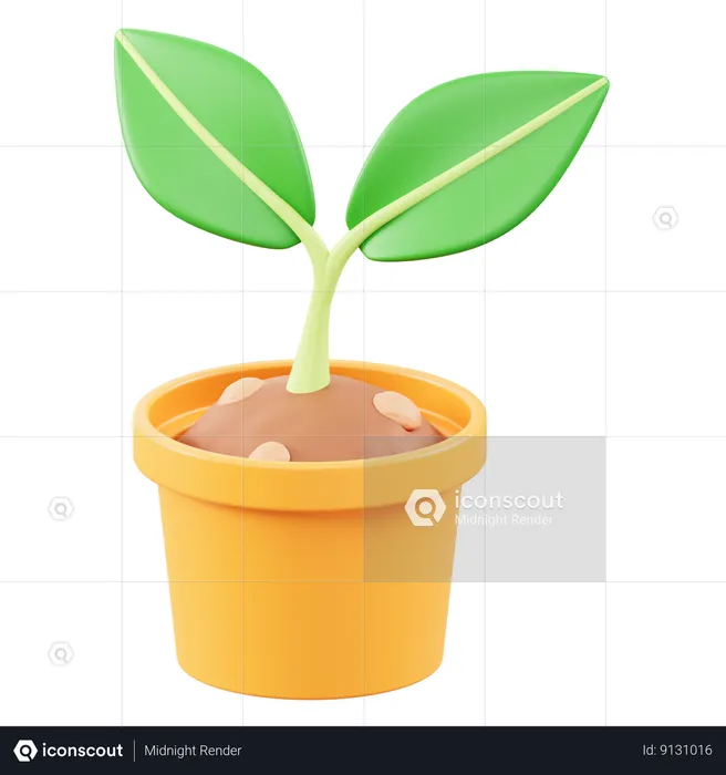 Potted Seeds  3D Icon