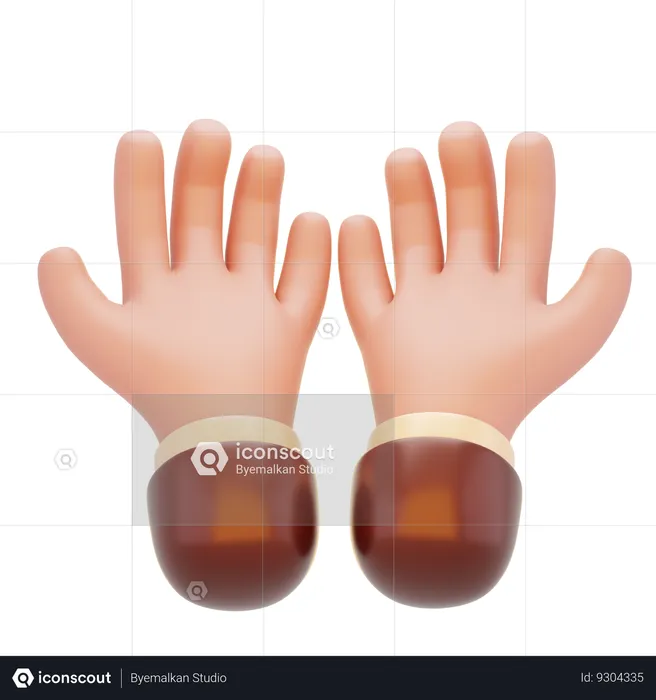 Prayer Hands  3D Icon