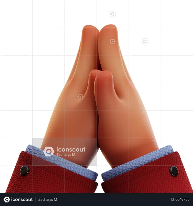 PRAYING HAND  3D Icon