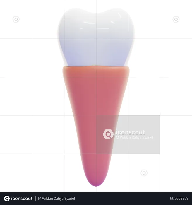 Pré-molar  3D Icon