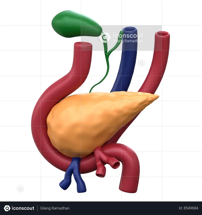 Première greffe d'organe  3D Icon