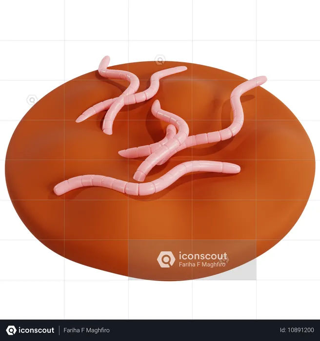 Proceso de Vermicompostaje para el Manejo de Residuos Orgánicos  3D Icon