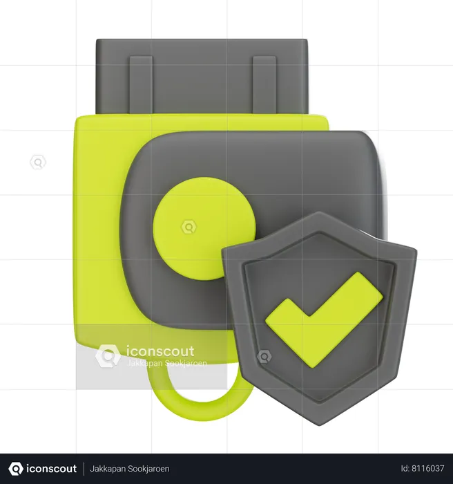 Protection du disque flash  3D Icon