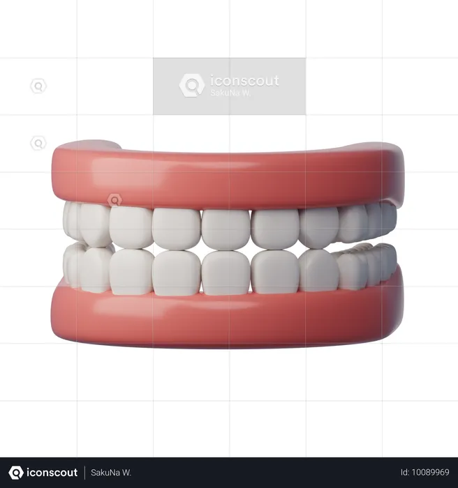 Dentier  3D Icon