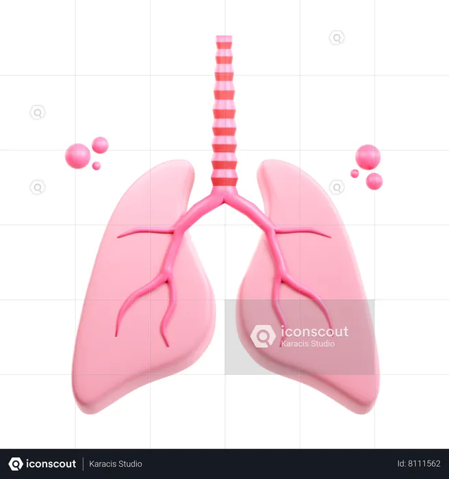 Pulmão  3D Icon