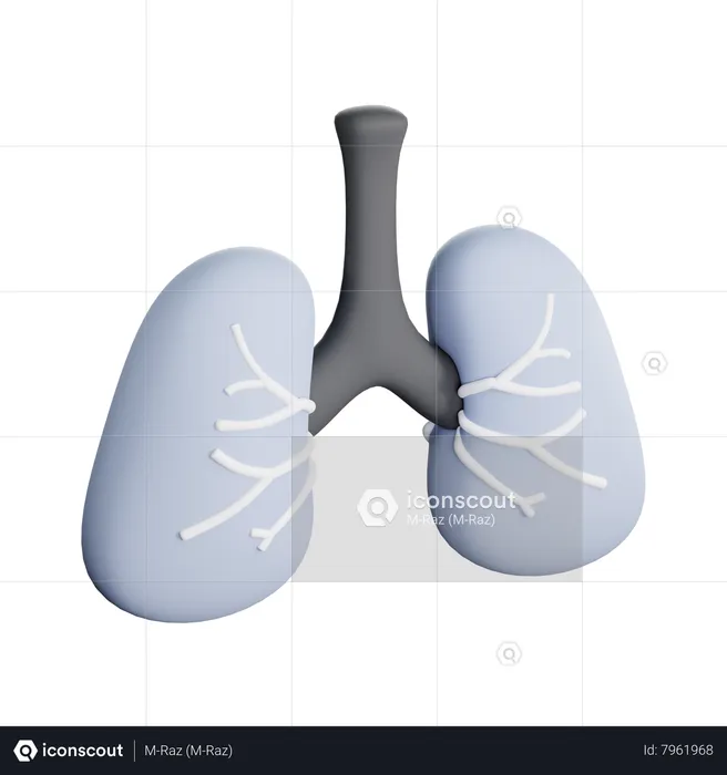 Pulmones  3D Icon