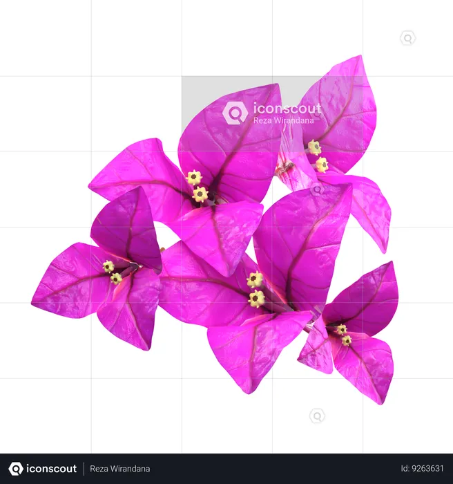 Purple Bougenville Flower  3D Icon