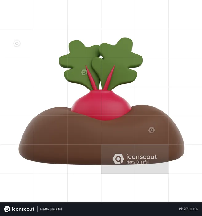 Rabanete plantado  3D Icon