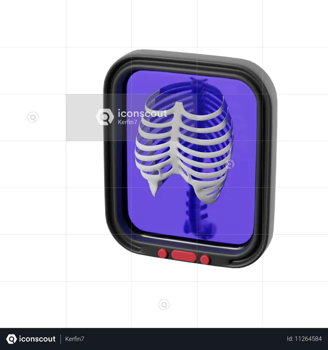 Radiografía del torso  3D Icon