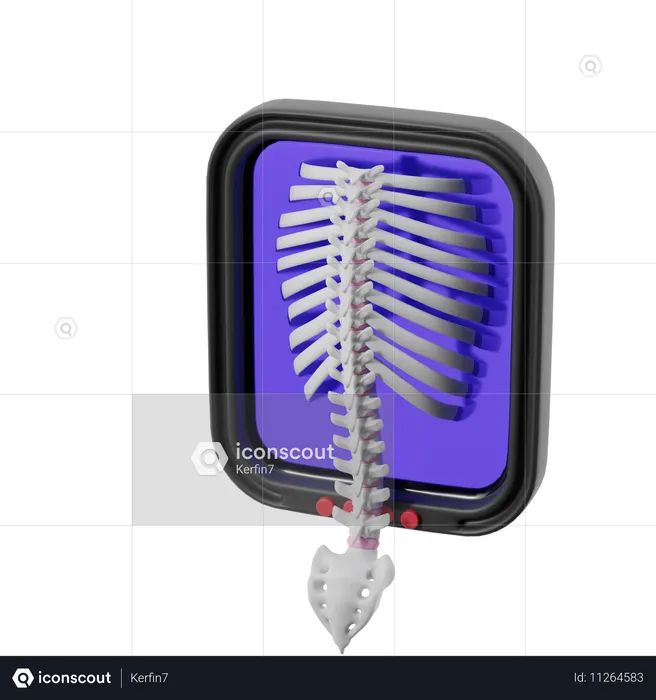 Radiographie du dos  3D Icon