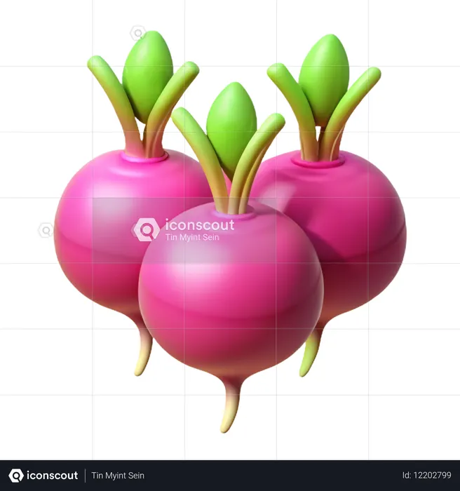 Radish  3D Icon