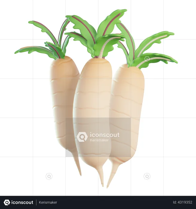 Radish  3D Icon