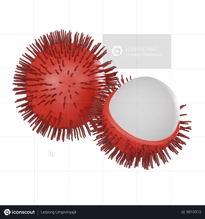 Rambutan  3D Icon