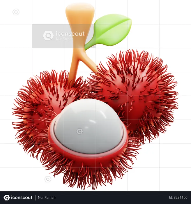 Rambutan  3D Icon