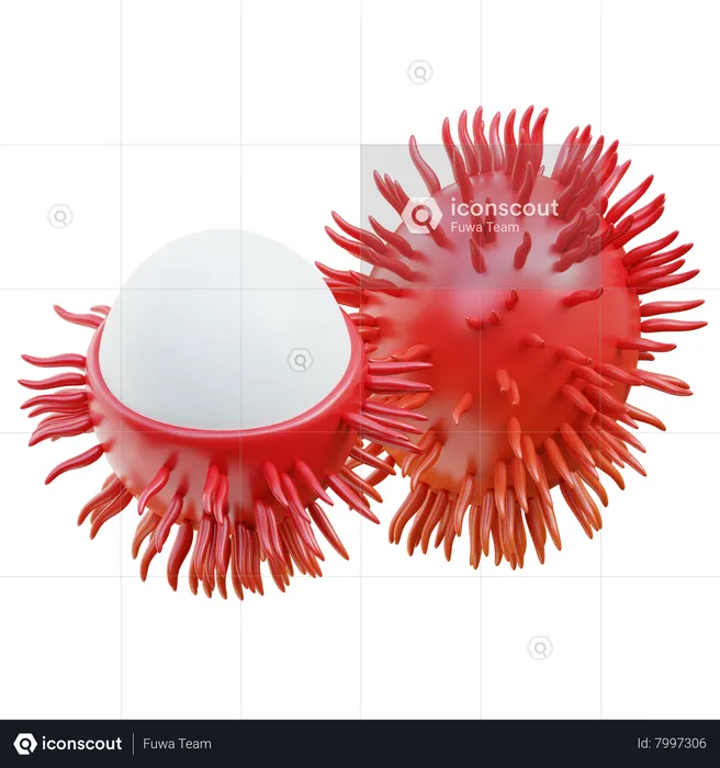 Rambutan  3D Icon