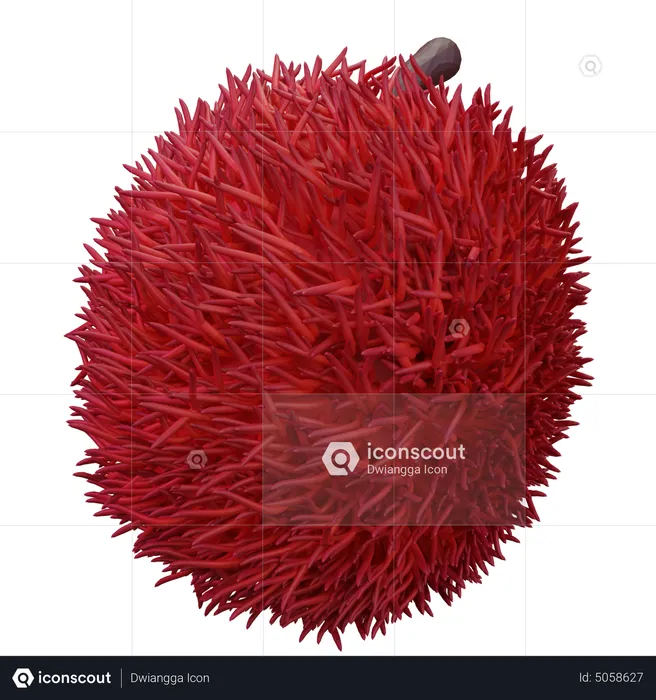 Rambutan  3D Icon