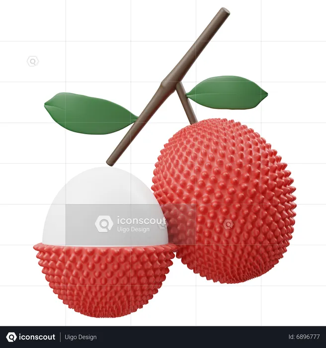 Rambutan  3D Icon