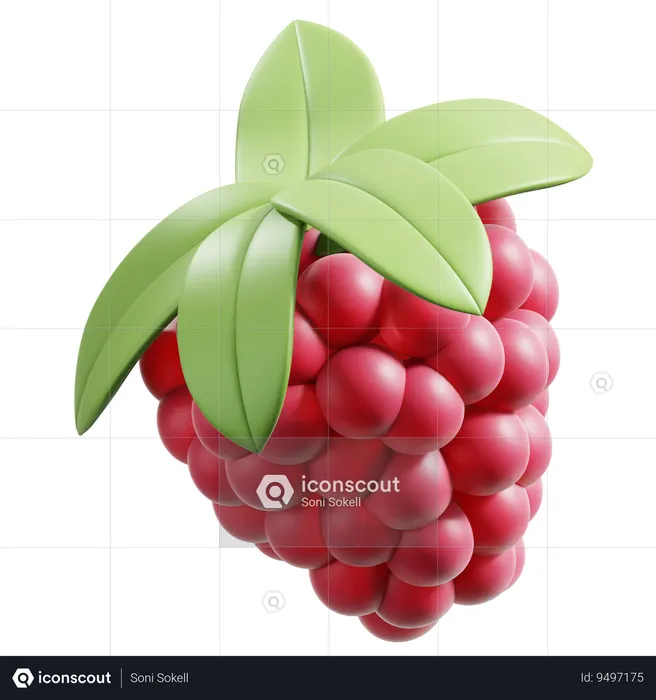 Raspberry  3D Icon