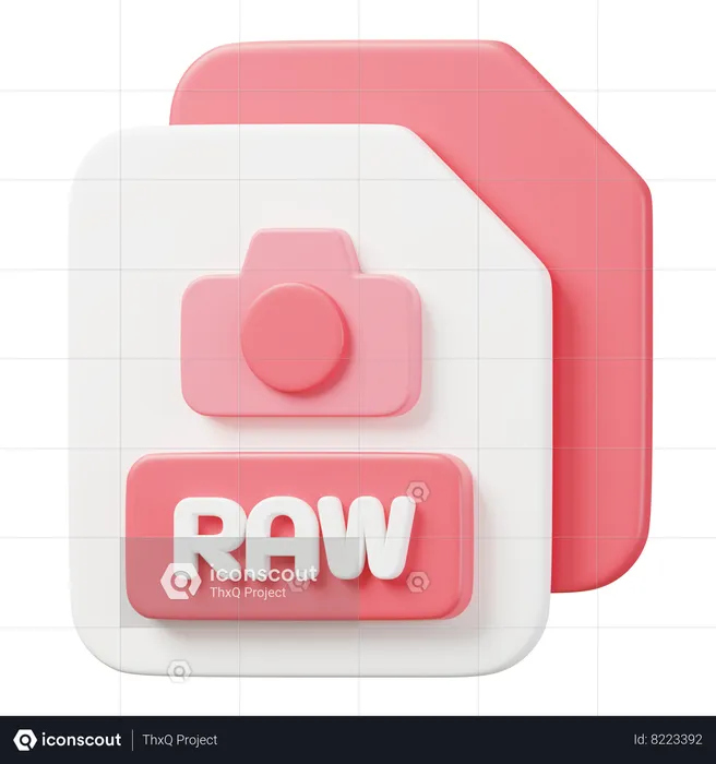 RAW File  3D Icon