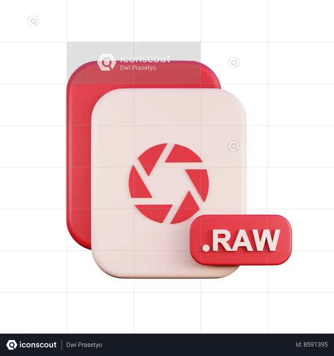 Raw File  3D Icon