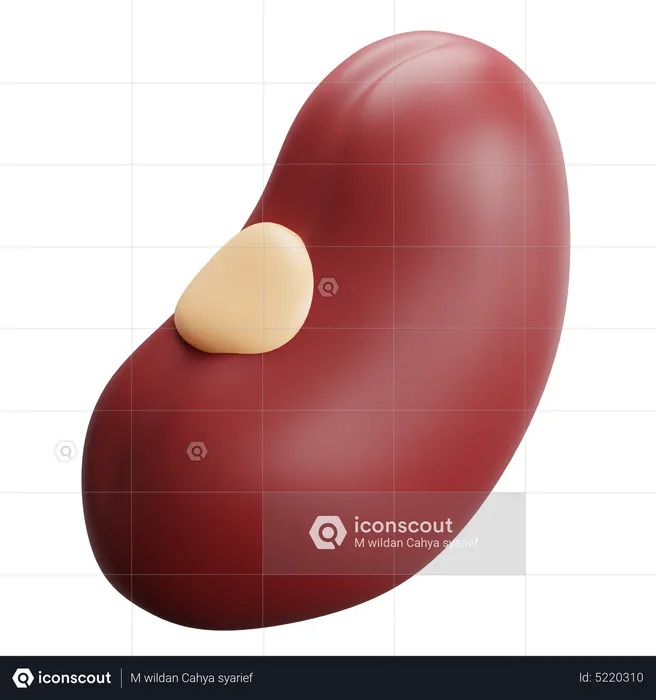 Red Beans  3D Icon