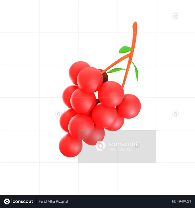 Red Grape  3D Icon