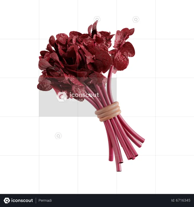 Red spinach  3D Icon
