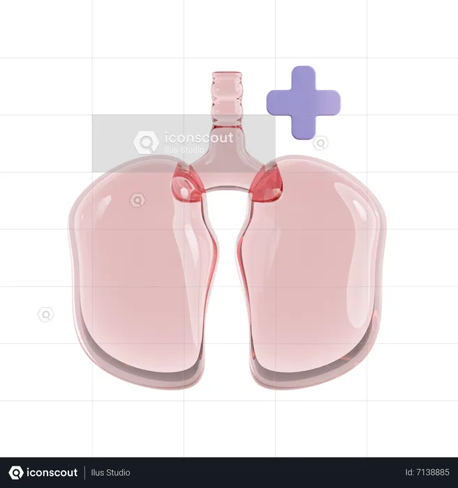 Respiratory Care  3D Icon